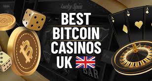 Guide which online casino are the best choices for different players