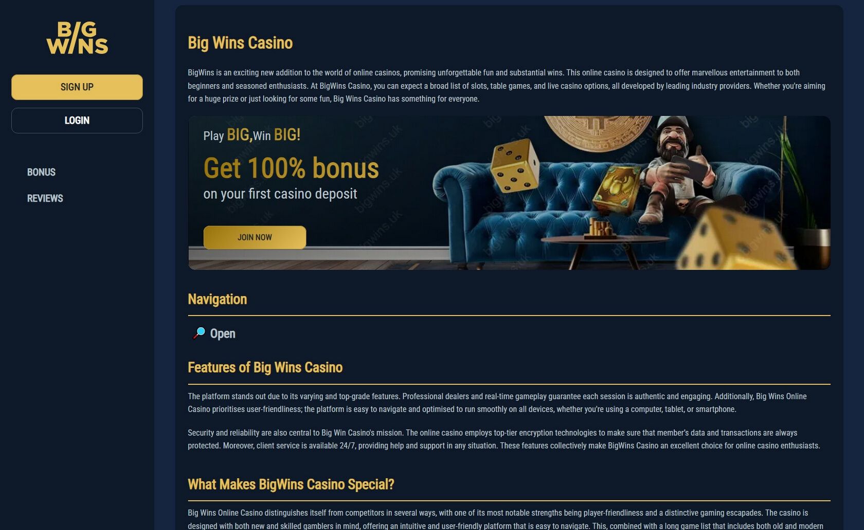 Big Wins Terms & Problems