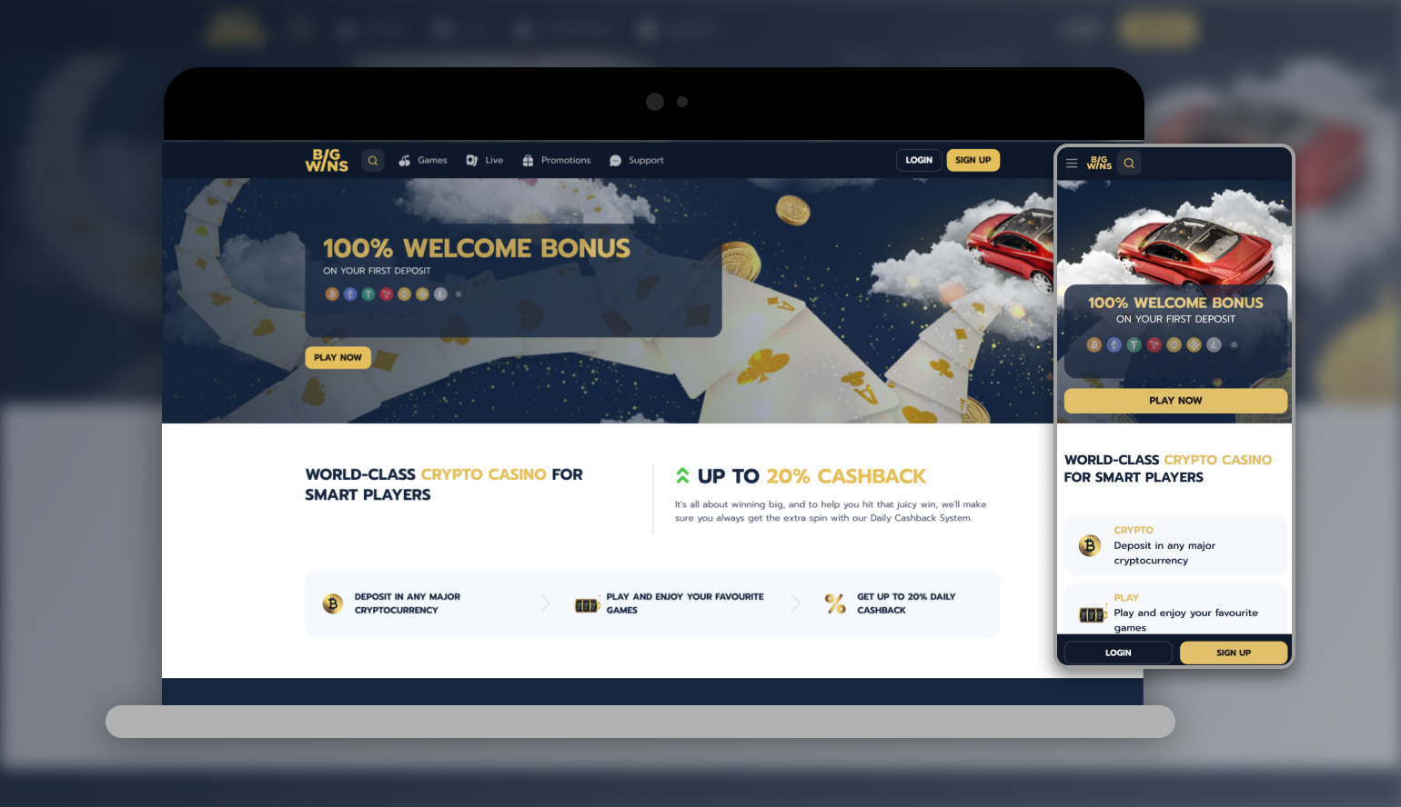 BigWin Casino site Live on the internet gambling enterprise Testimonial